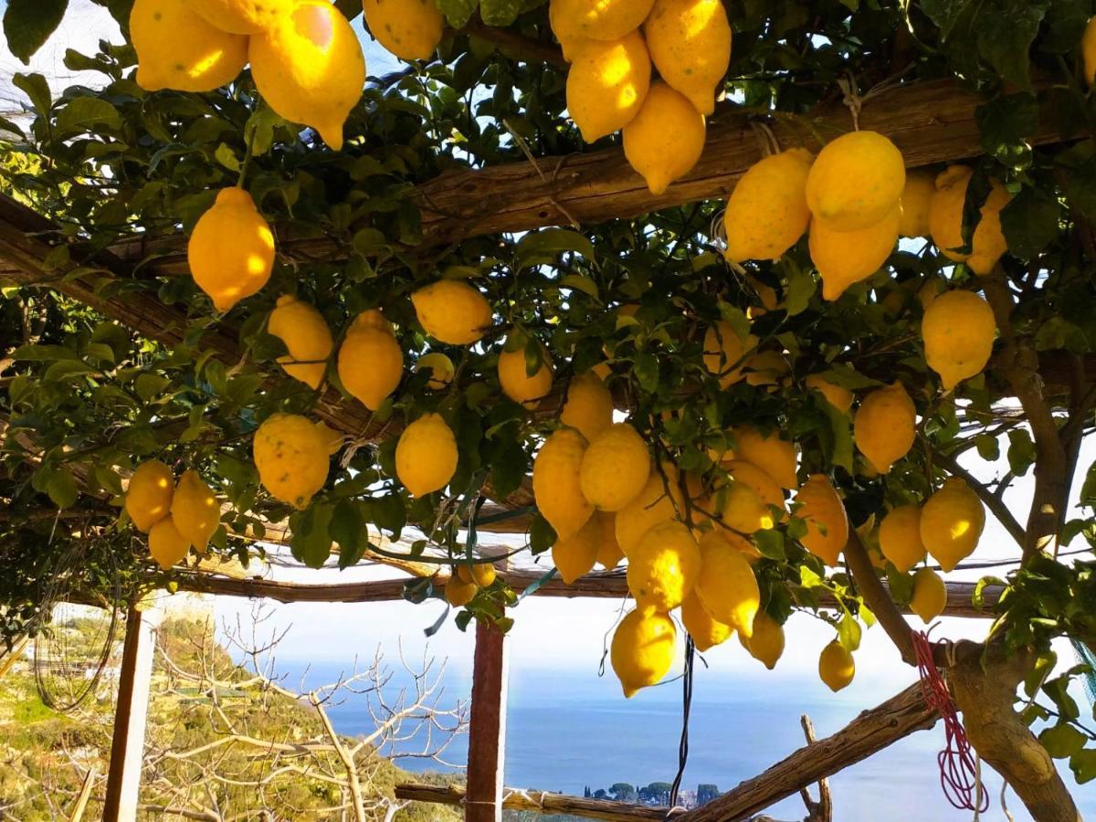 Amalfi Sea View Villa Scala Bagian luar foto